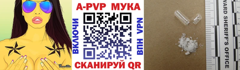 ОМГ ОМГ онион  маркетплейс какой сайт  A PVP СК  сколько стоит  Благодарный 