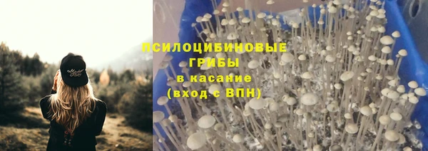 PSILOCYBIN Богородицк