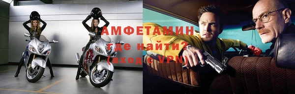 стаф Белокуриха