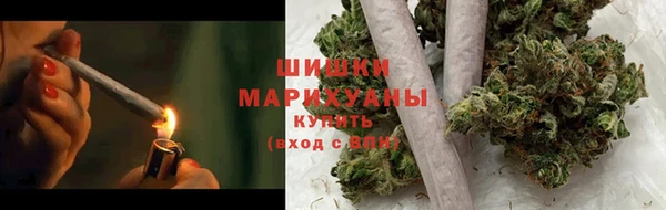 стаф Белокуриха