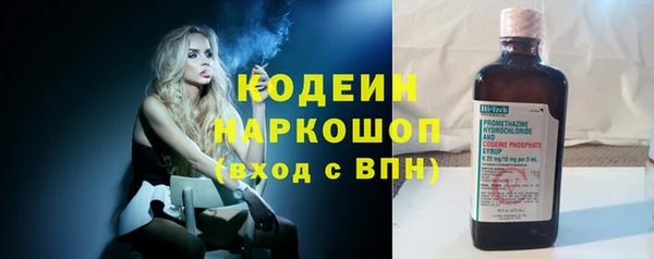 гидра Богданович
