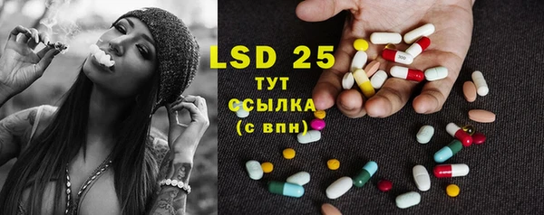 гидра Богданович