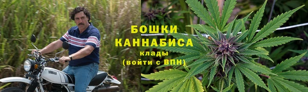 гидра Богданович