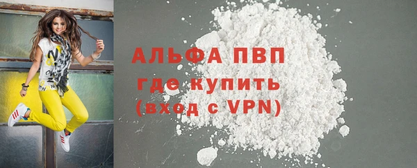 стаф Белокуриха