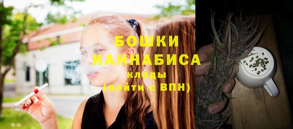 стаф Белокуриха